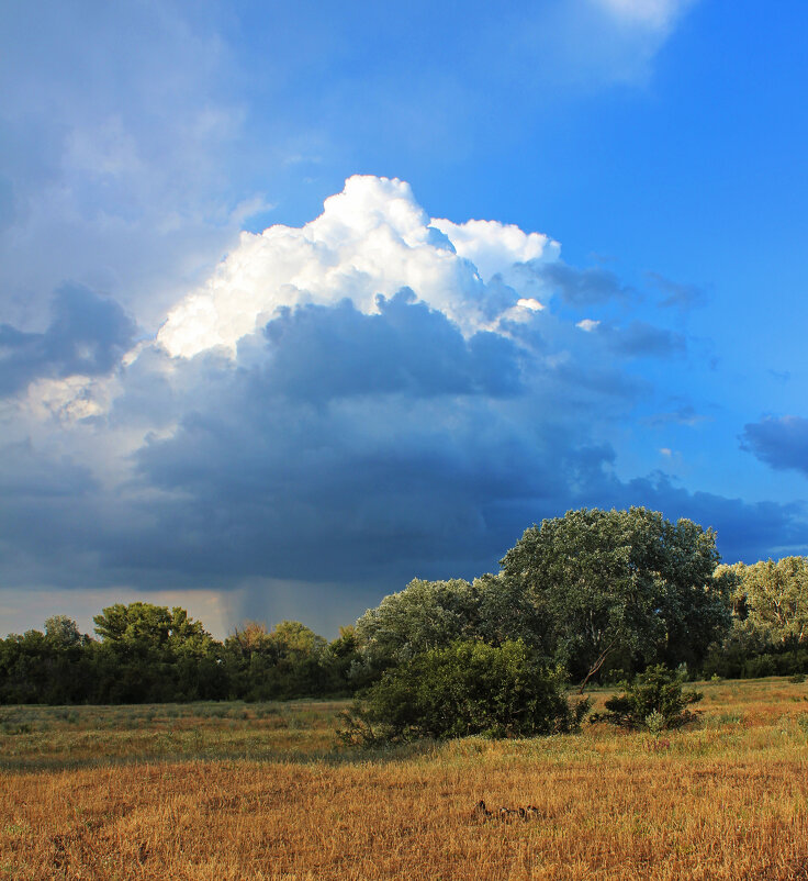 Туча. - Александр 