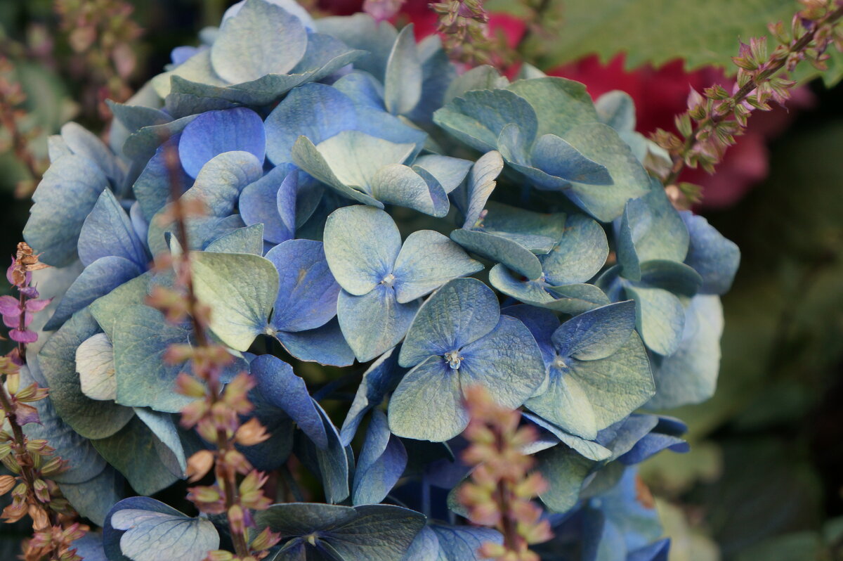 * * * - Алёна Савина