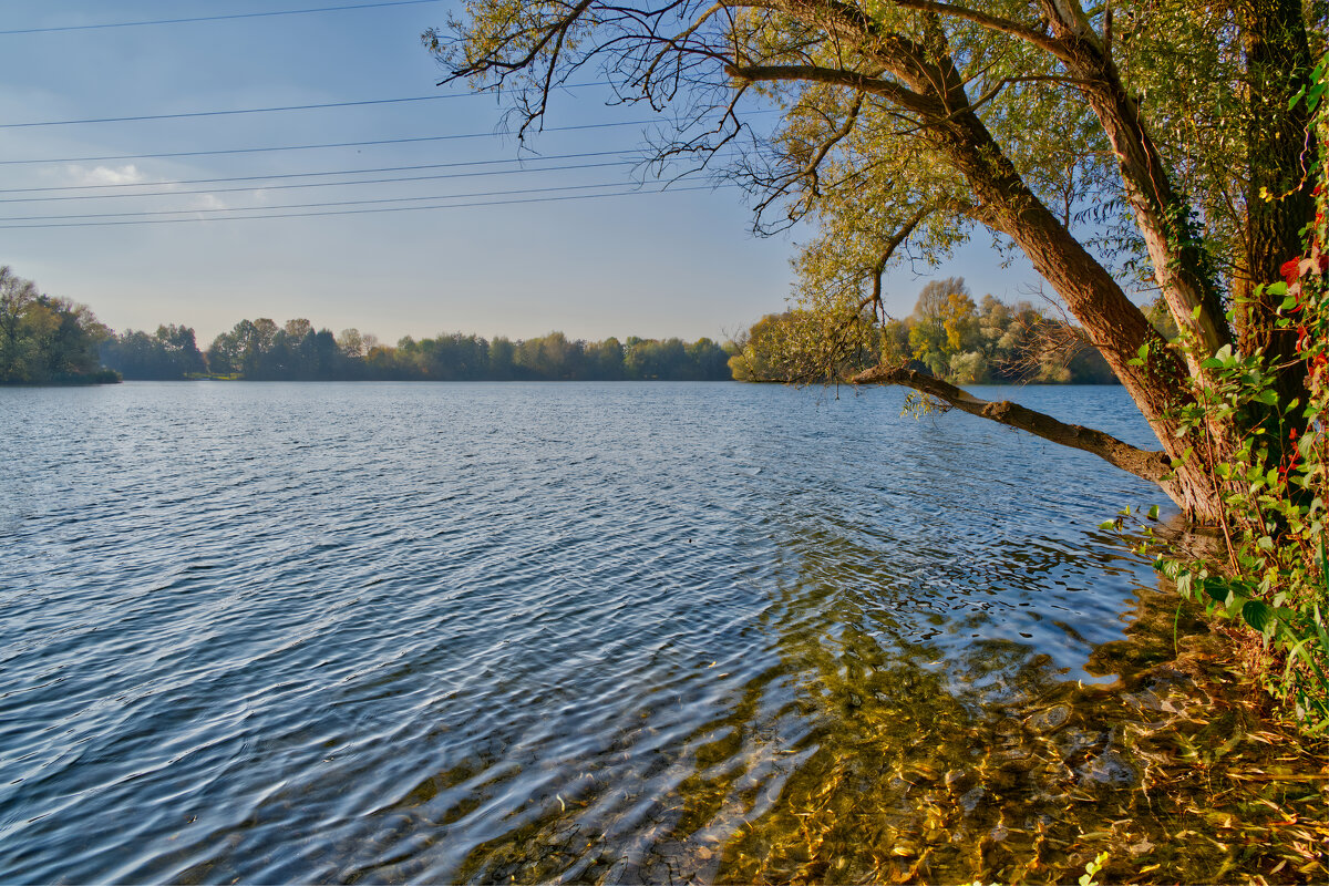 (°-°) - Jakob Dick