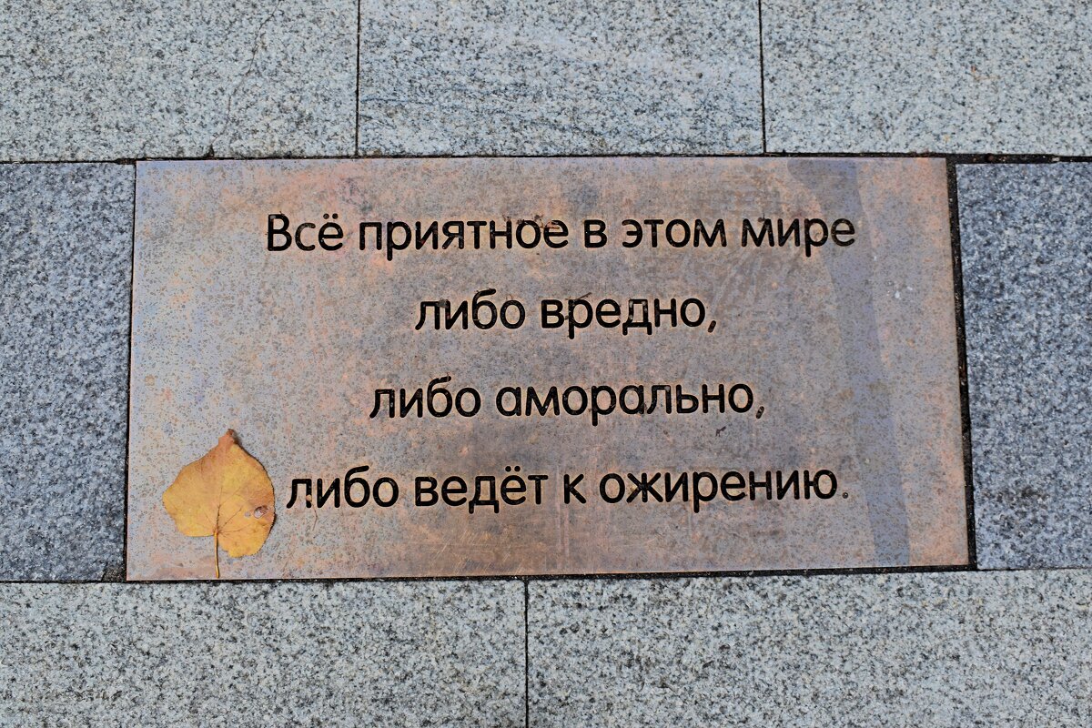 Мудрые цитаты актрисы. - Татьяна Помогалова