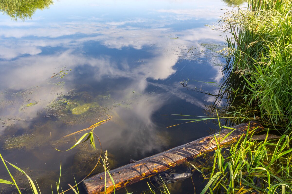 Летнее утро на реке Миасс. г. Миасс, Машгородок. - Алексей Трухин Летнее утро на реке Миасс. г. Миасс, Машгородок. - Алексей Трухин