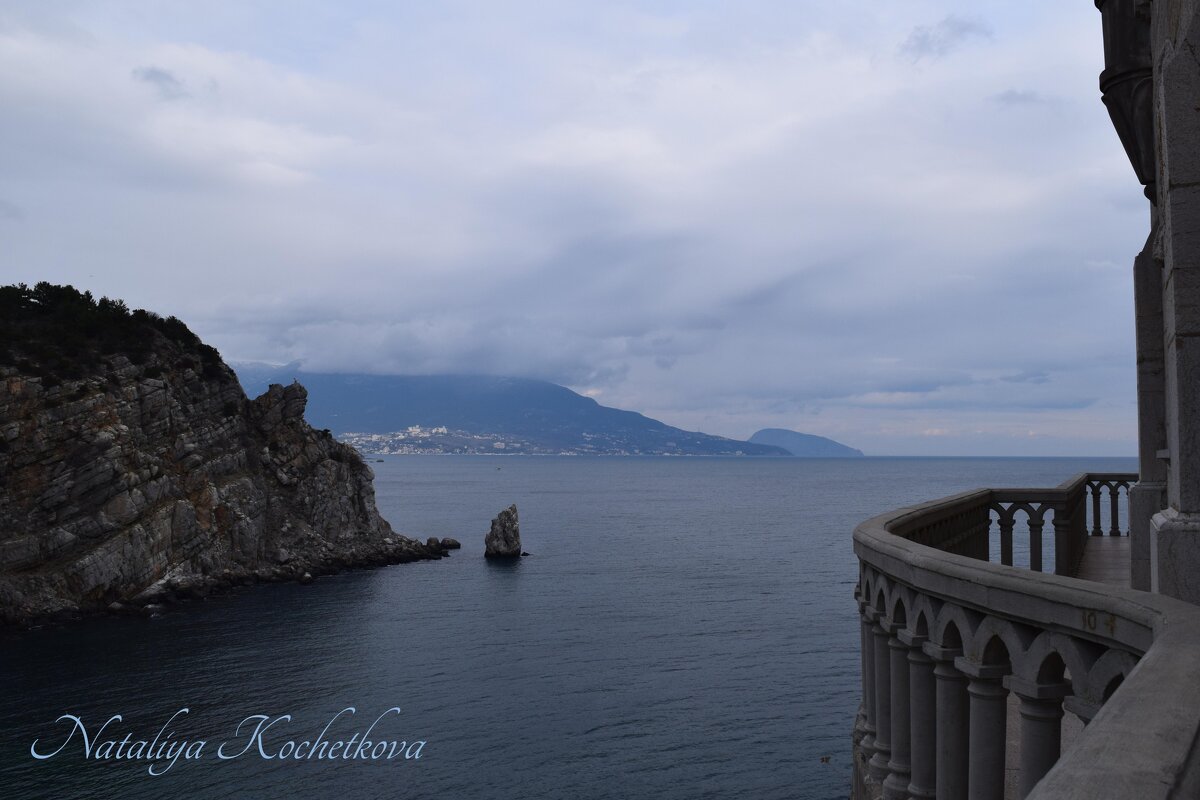 Природа Крыма - Amazing Cosmea