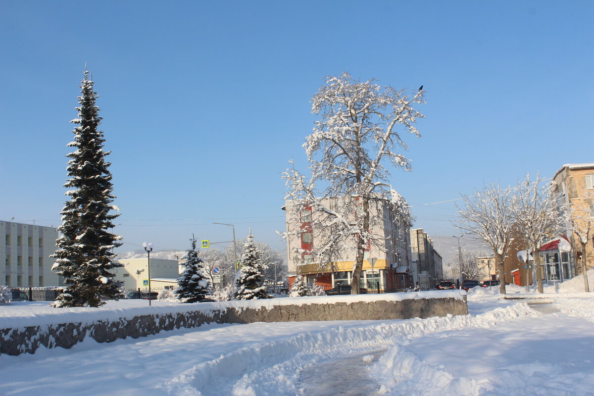 морозный день - Александр Белов