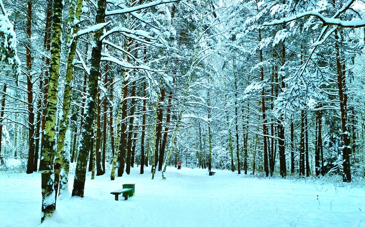 в парке - Владимир 