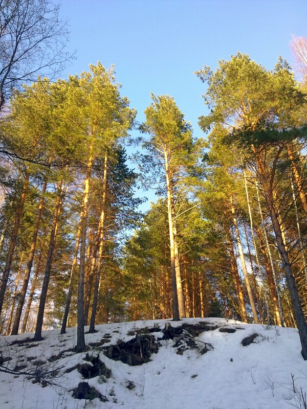 солнечный денек - Владимир 