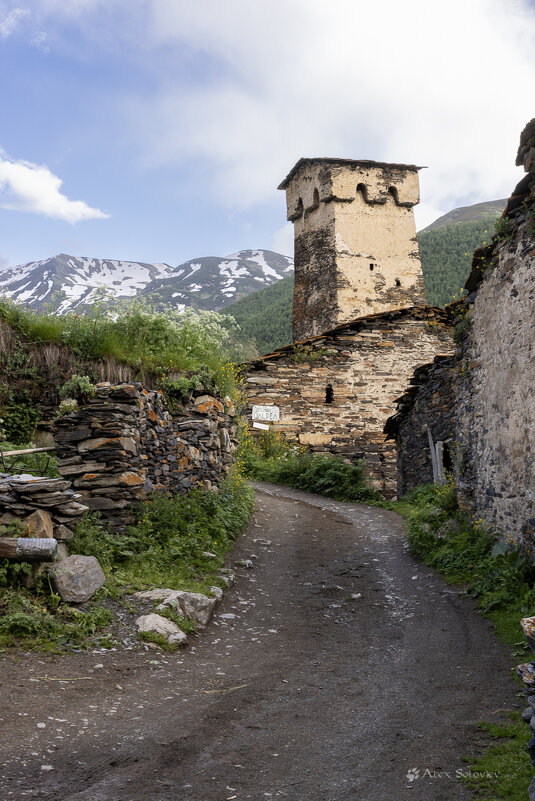 **** - Алексей Соловьев