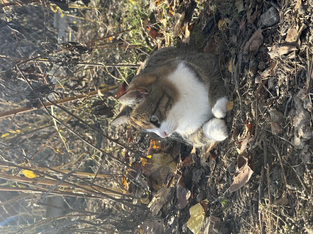 Маруся - Валентина .