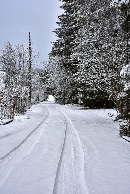 29 ноября - Владимир VS