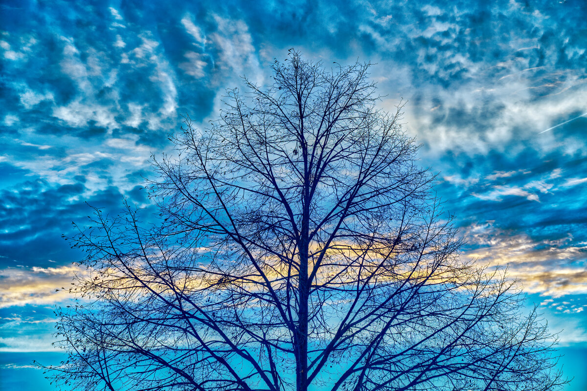 (°-°) - Jakob Dick