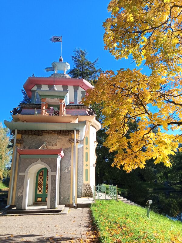 Скрипучая беседка - Сапсан 