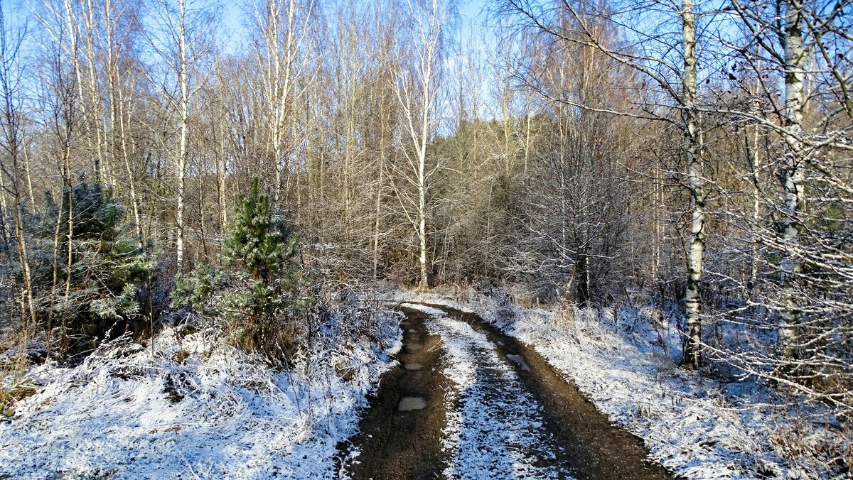 Дорога рыбаков (репортаж из поездок по области). - Милешкин Владимир Алексеевич Дорога рыбаков (репортаж из поездок по области). - Милешкин Владимир Алексеевич