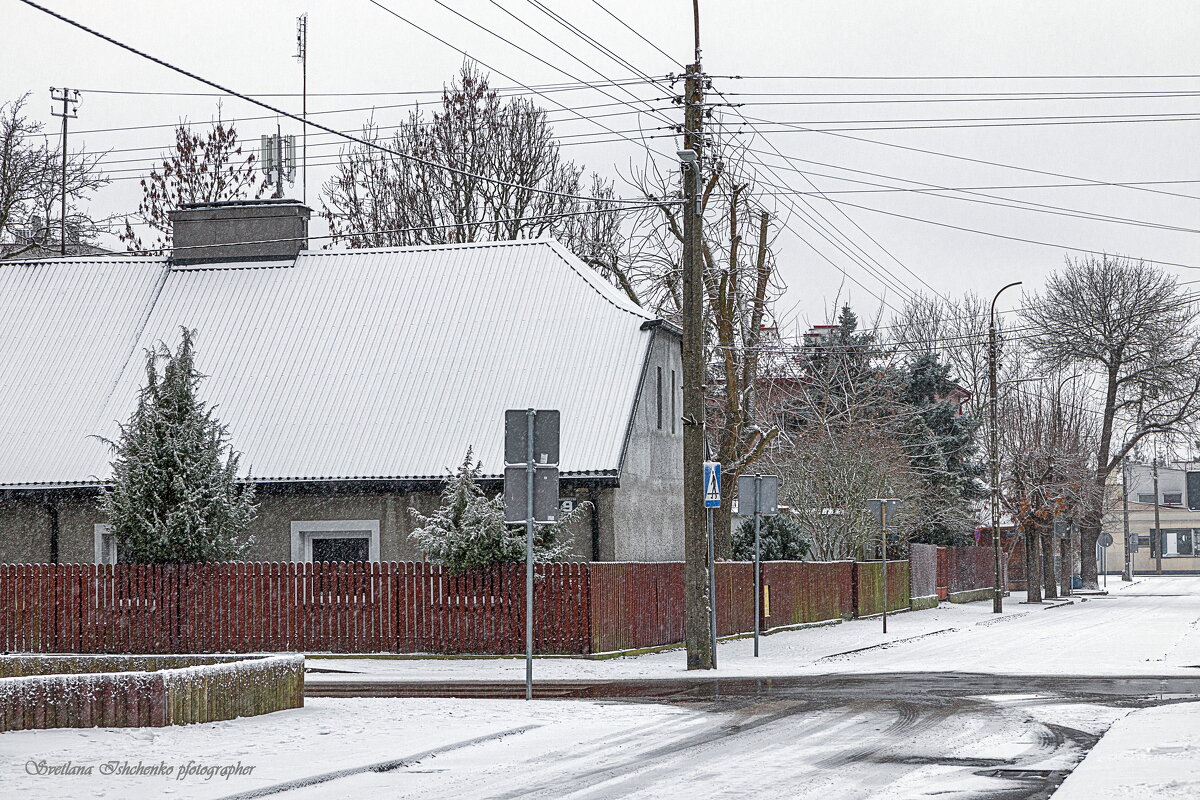 ... - Светлана Ищенко