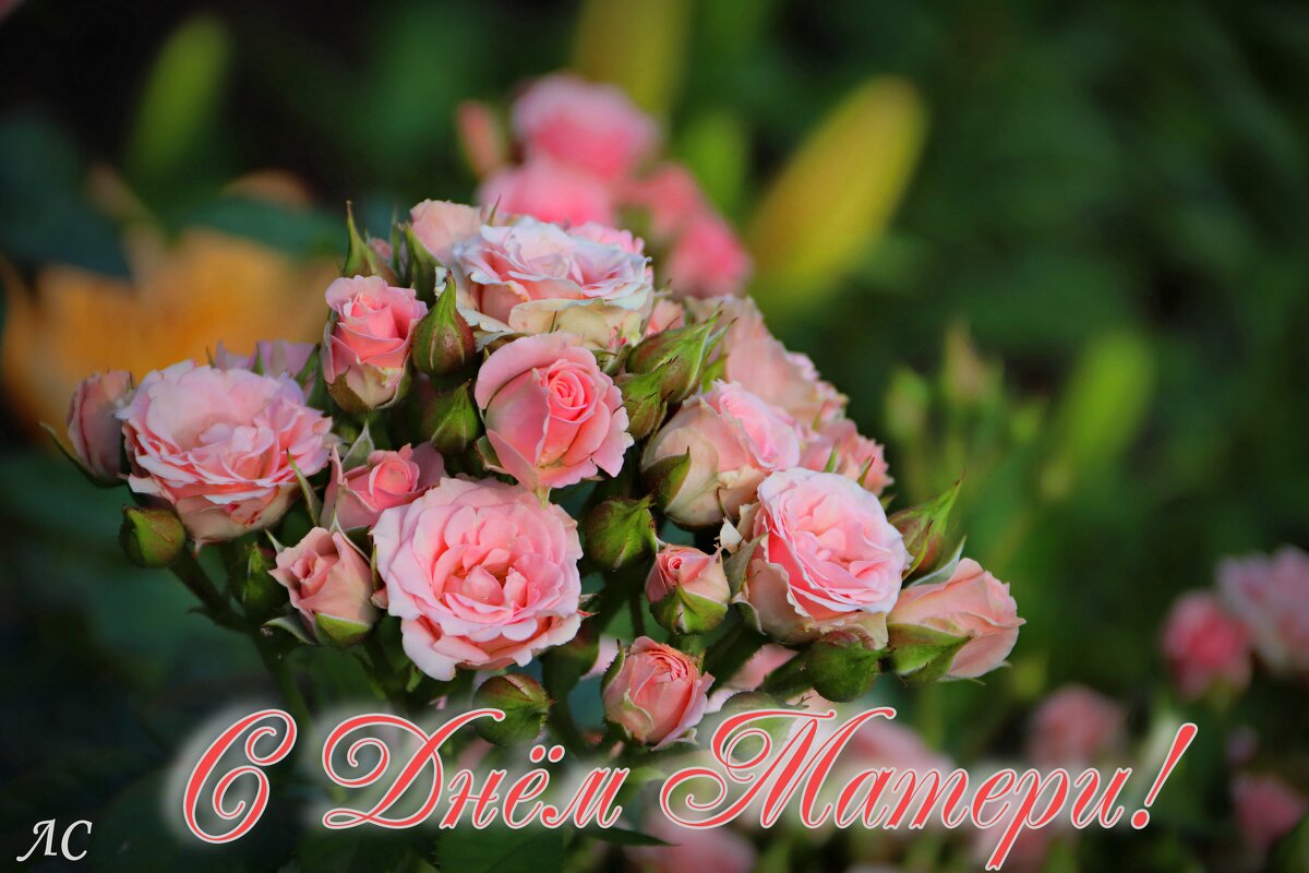 Букет с клумбы - Любовь Сахарова