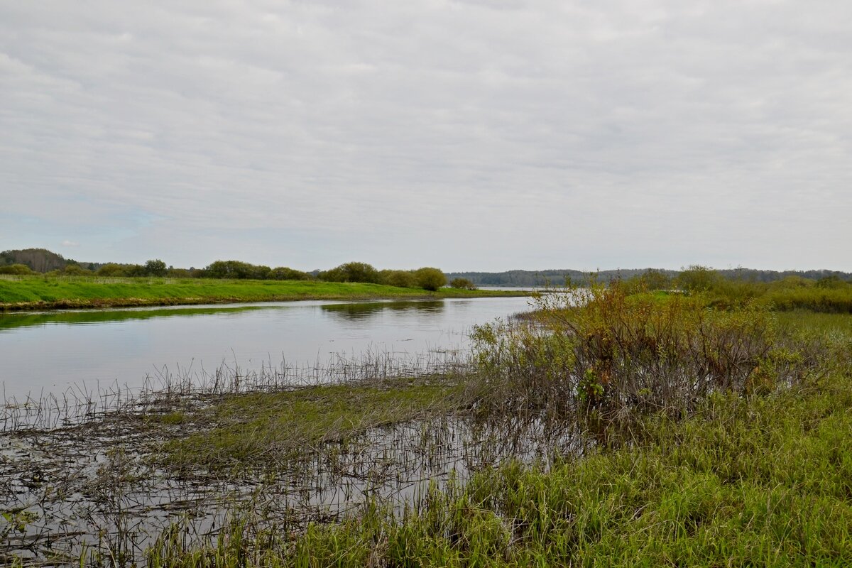 МИХАЙЛОВСКОЕ. - Виктор Осипчук
