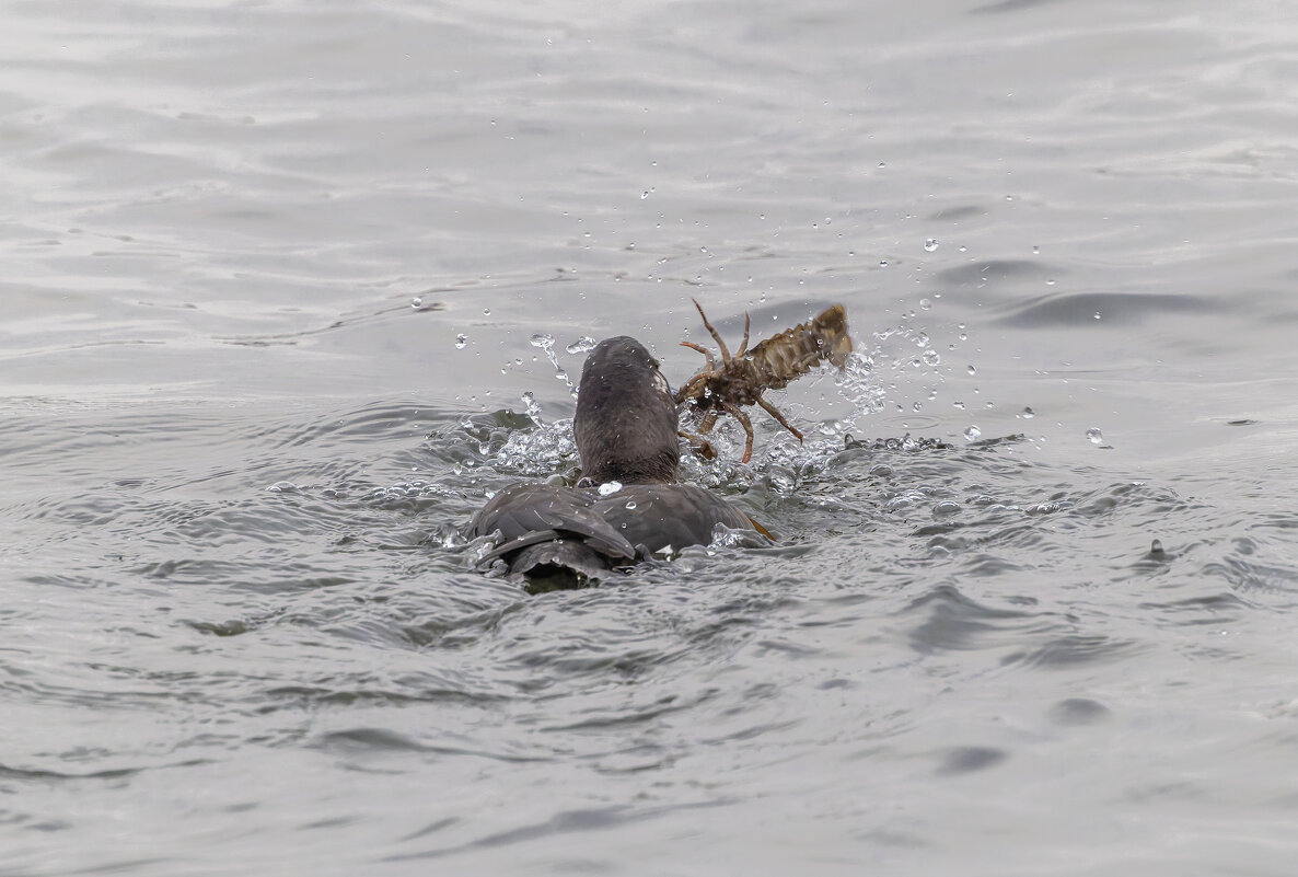 турпан. - юрий макаров турпан. - юрий макаров