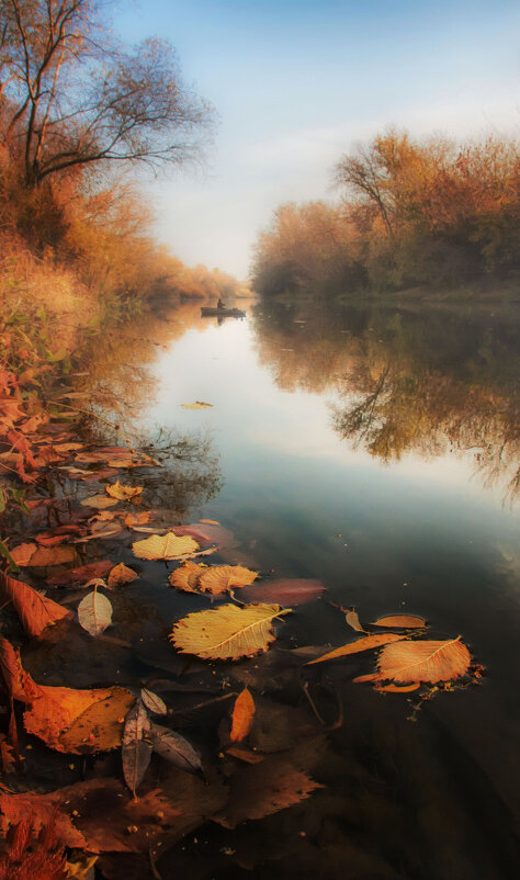 Тишина - Ирина 