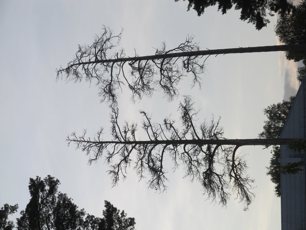 Урал - Елена Шаламова