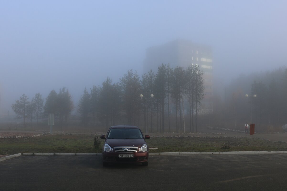 В тумане - Ольга 