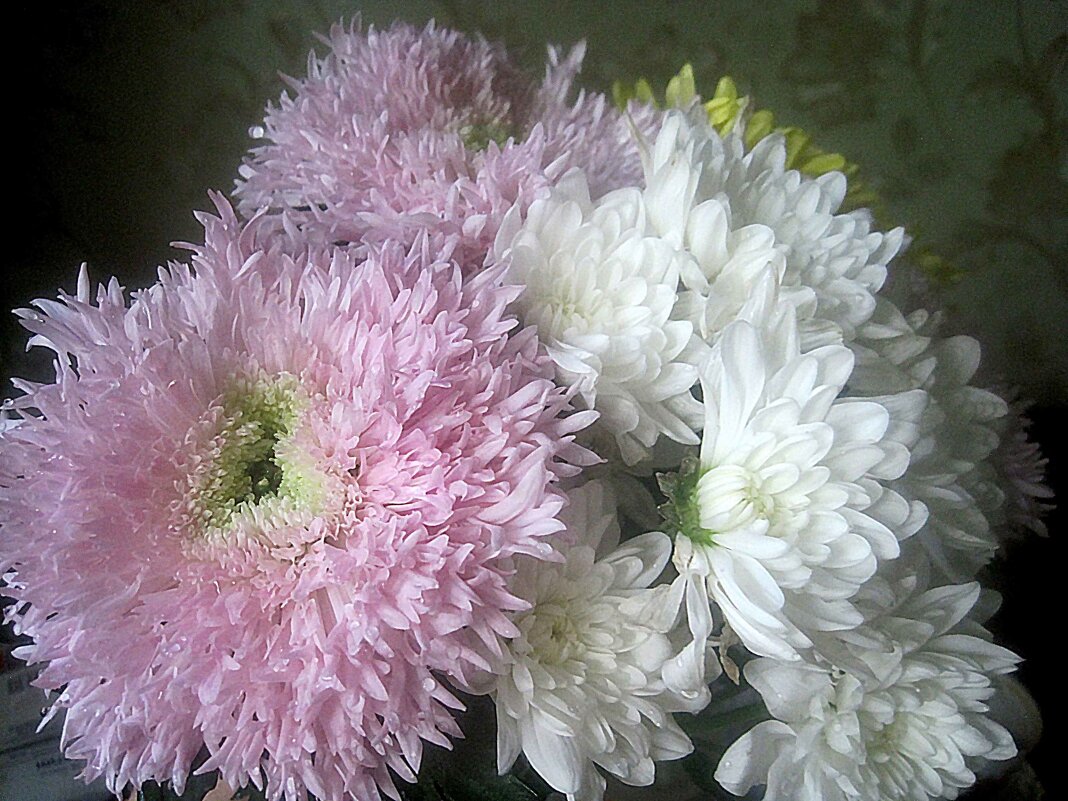 Нежность - Елена Семигина