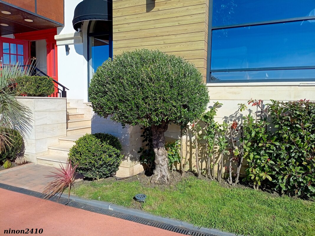 Адлер. Имеретинская (Олимпийская) набережная - Нина Бутко