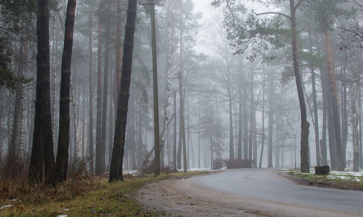 Декабрь в Беларуси. Бобруйск. Санаторий "Шинник" - Андрей Андрианов