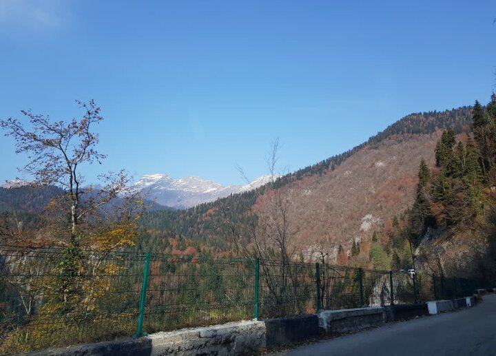 АБХАЗИЯ - Tata Wolf