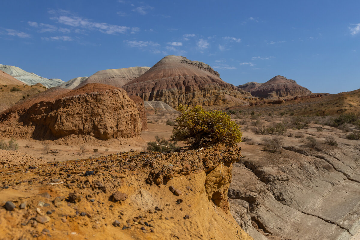 Казахстан.Алтын-Эмель - Андрей Щукин