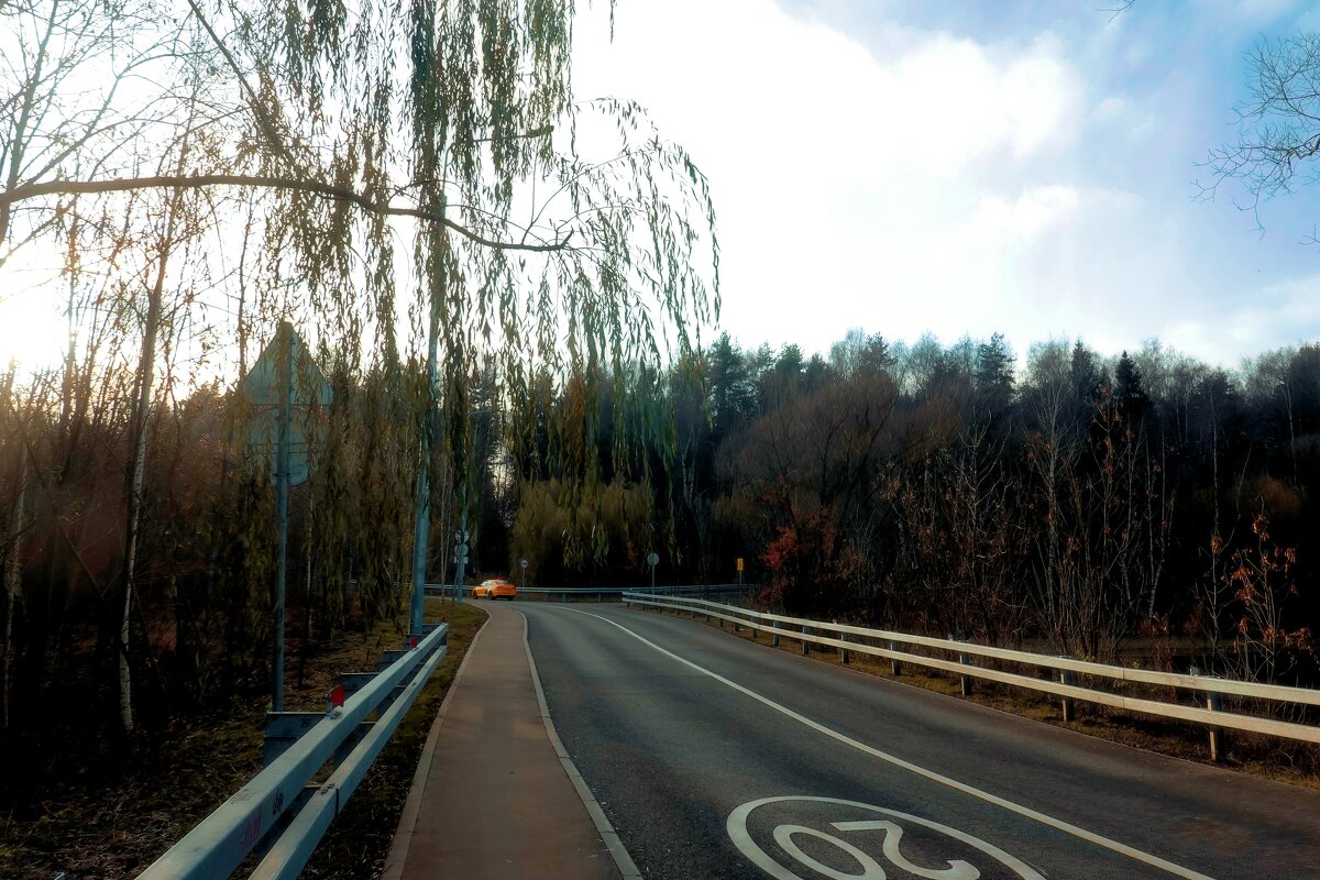 Осень заканчивает свой путь. - Татьяна Помогалова