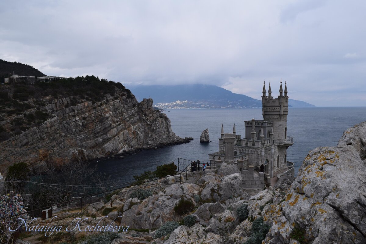 Природа Крыма - Amazing Cosmea