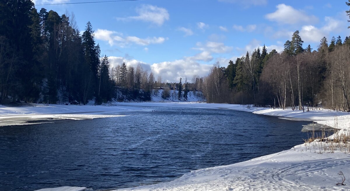 Прекрасная погода - Ольга Савельева 