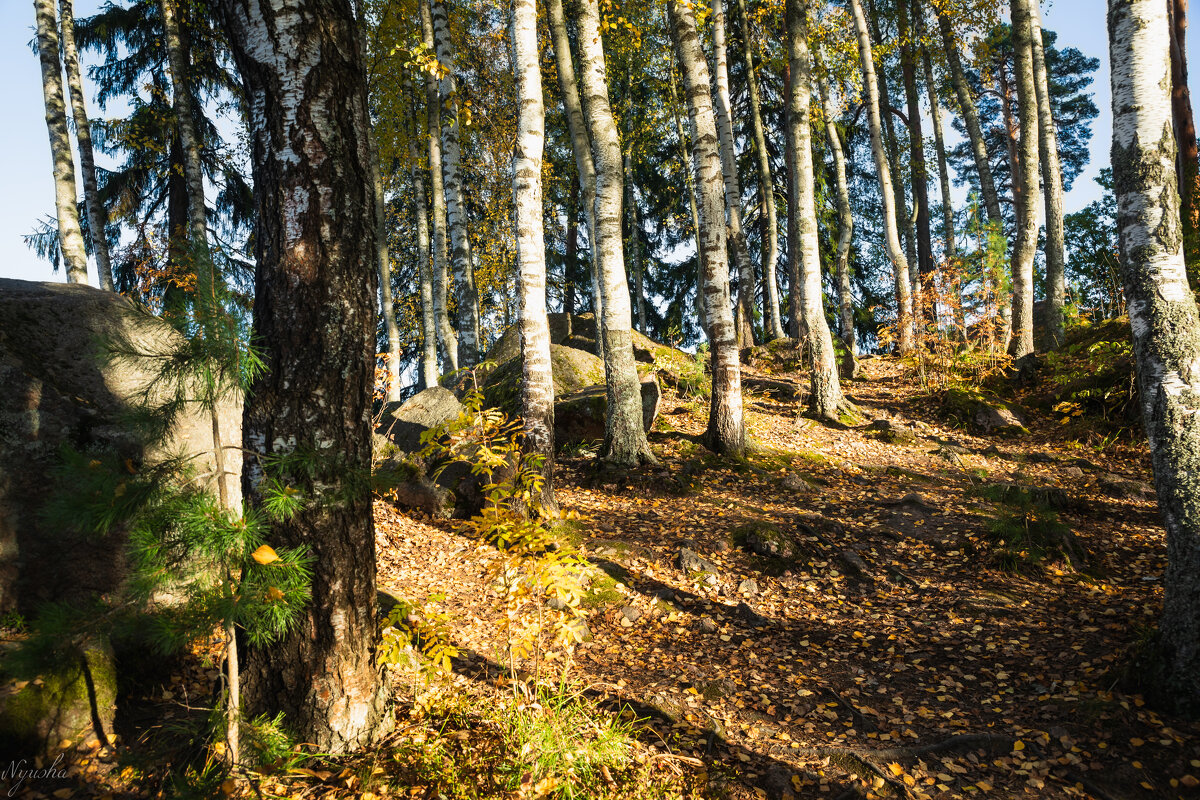 В парке Монрепо - Nyusha . В парке Монрепо - Nyusha .