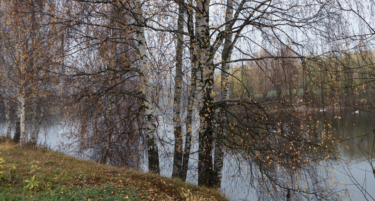 ** - Владимир Безбородов