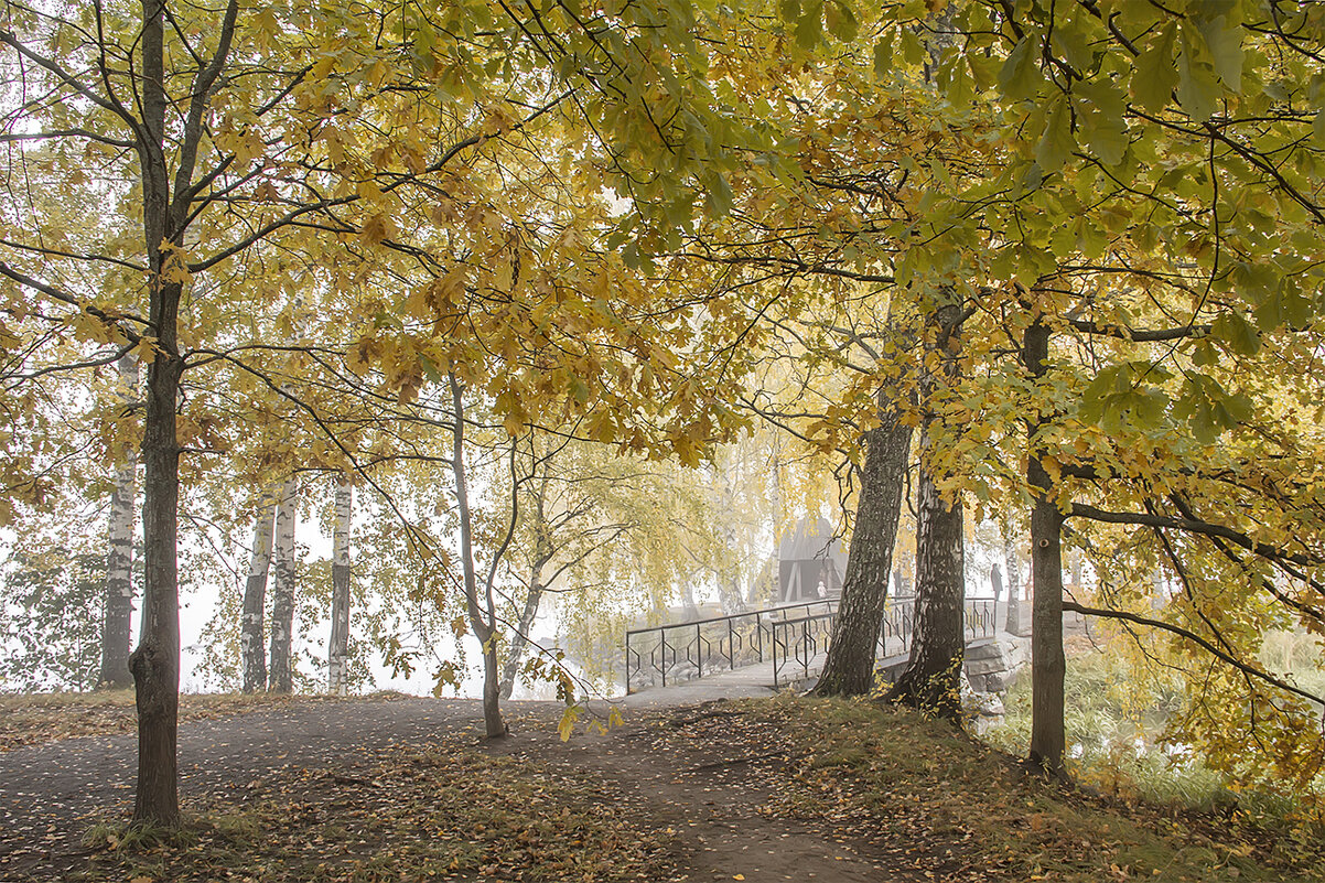 Запомним осень уходящую в дымке золотой... - Bosanat 