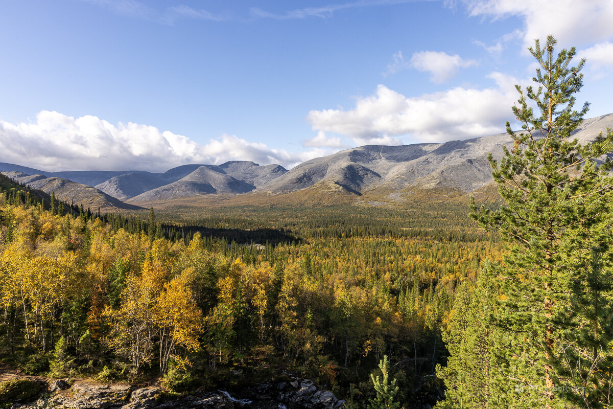 **** - Алексей Соловьев