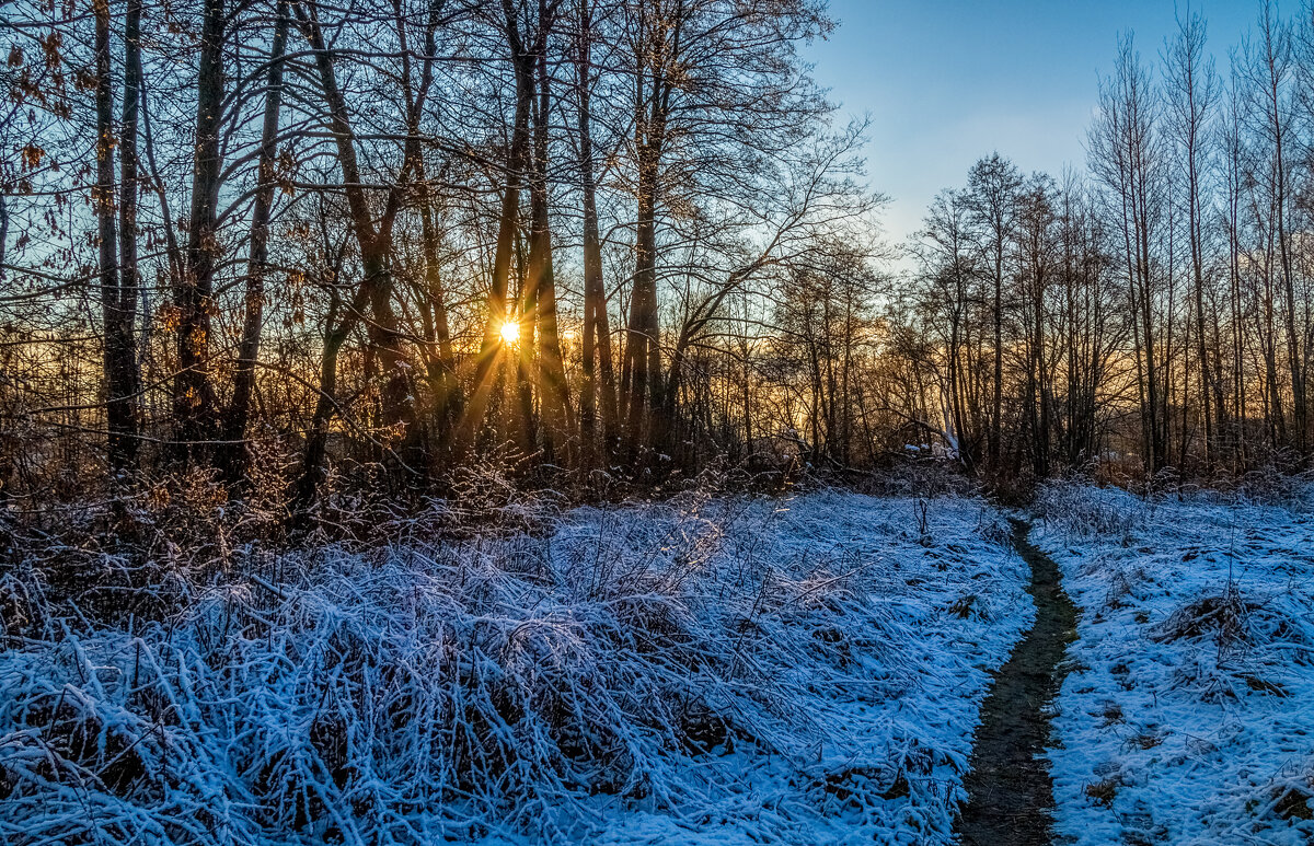 Вечер Ноября 8 - Андрей Дворников