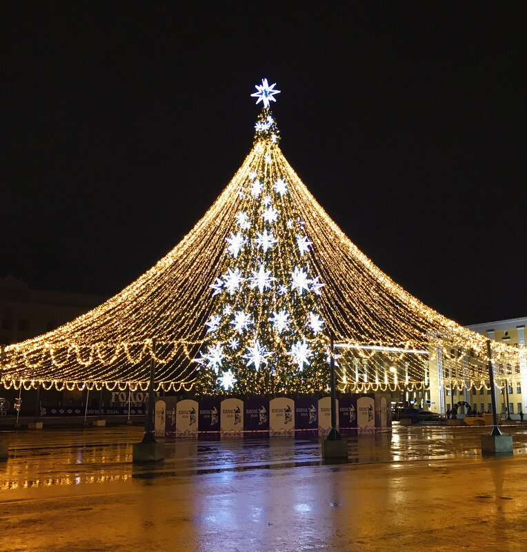 Осталось только дождаться снега) - Татьяна 