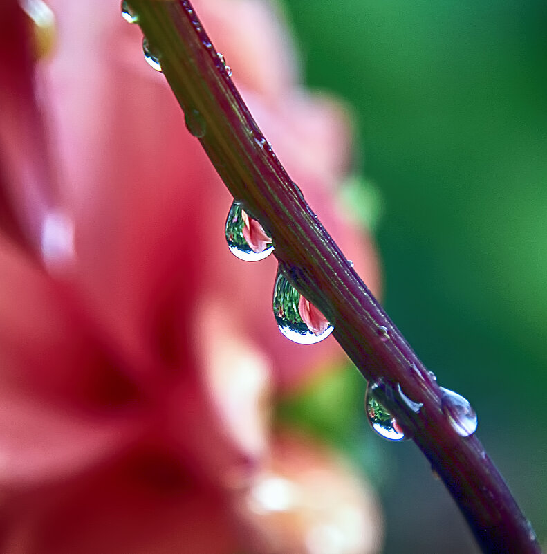 *** - Андроник Александр 