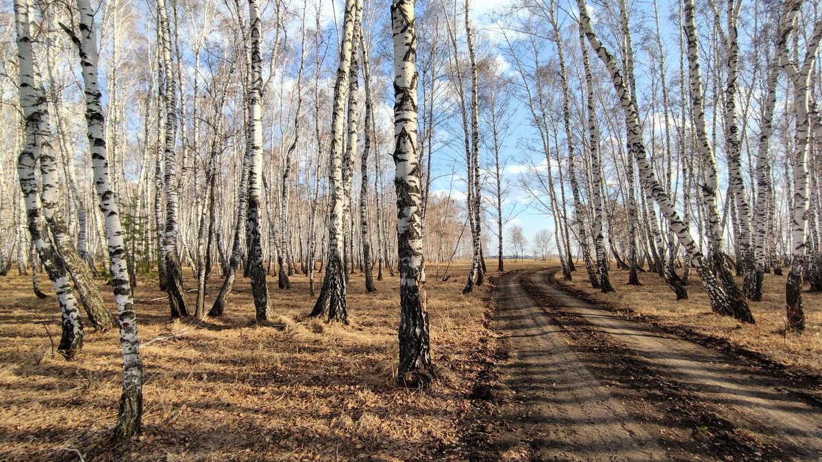 Осень - Владимир Зыбин