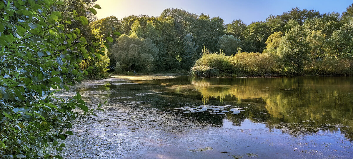 Парк Покровское-Стрешнево - Денис Масленников Парк Покровское-Стрешнево - Денис Масленников