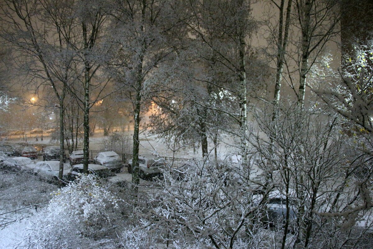 Ноябрь из окна - Наталья Герасимова