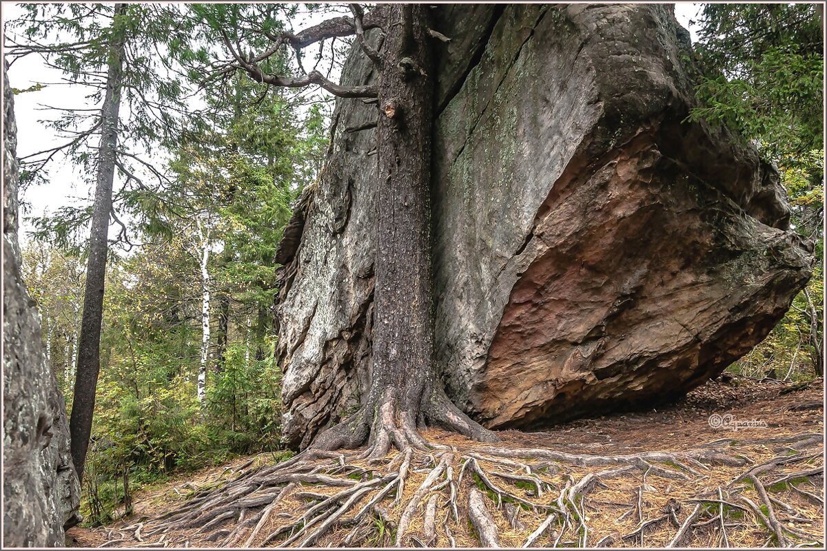 Каменный город (Чёртово Городище, Черепахи) - Aquarius - Сергей
