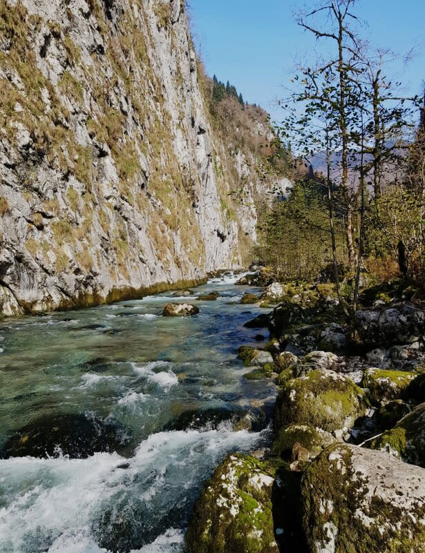 АБХАЗИЯ - Tata Wolf