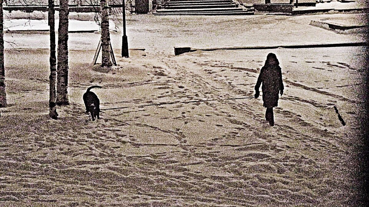 С утренней прогулки с любимым  псом! - Владимир 