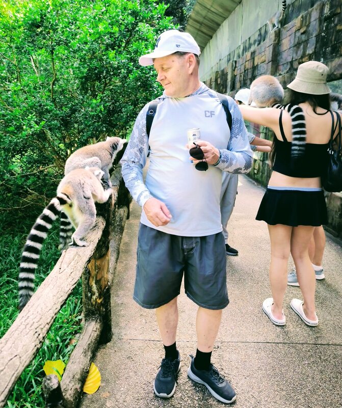 Как пройти в библиотеку... - Георгиевич 