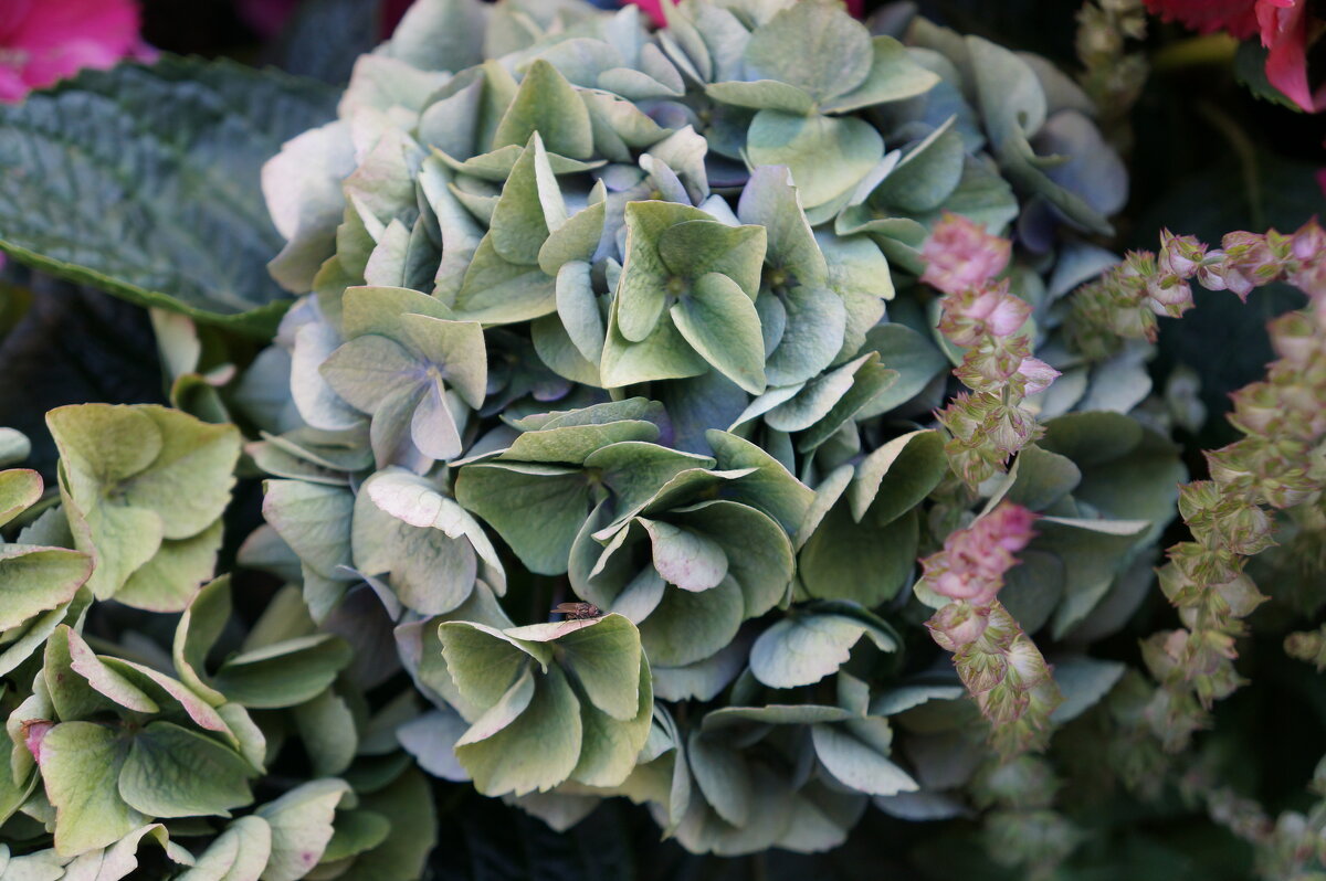 Первый день зимы... - Алёна Савина