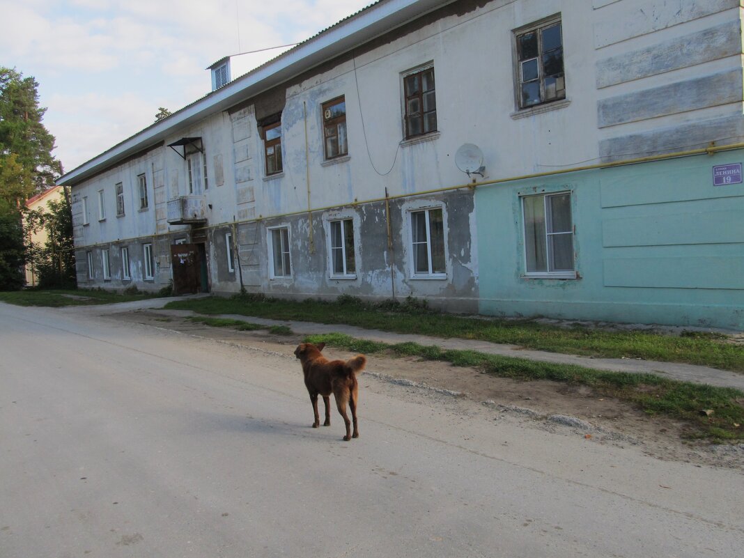 посёлок Калиново на оэ. Таватуй - Елена Шаламова