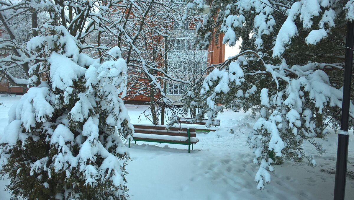 Зимой в с.Заворово - Елена Семигина