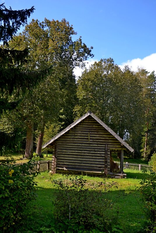 МИХАЙЛОВСКОЕ. - Виктор Осипчук