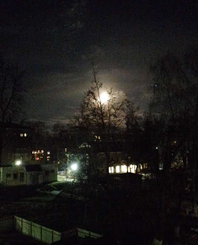 *** - Валентина Береснева