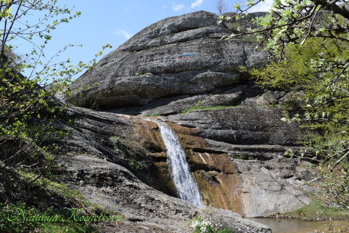 Природа Крыма - Amazing Cosmea